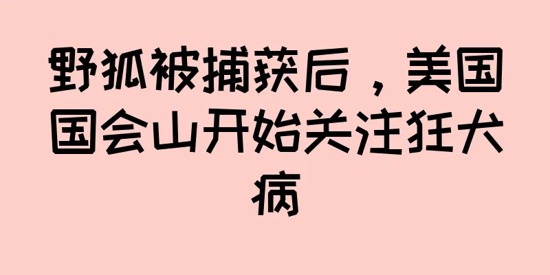 野狐被捕获后，美国国会山开始关注狂犬病