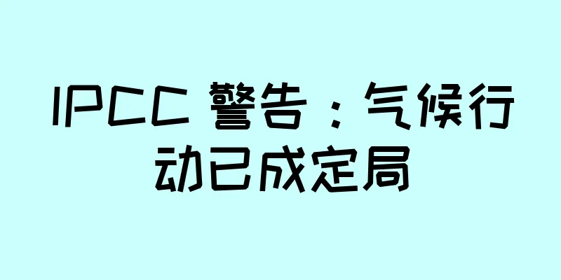 IPCC 警告：气候行动已成定局