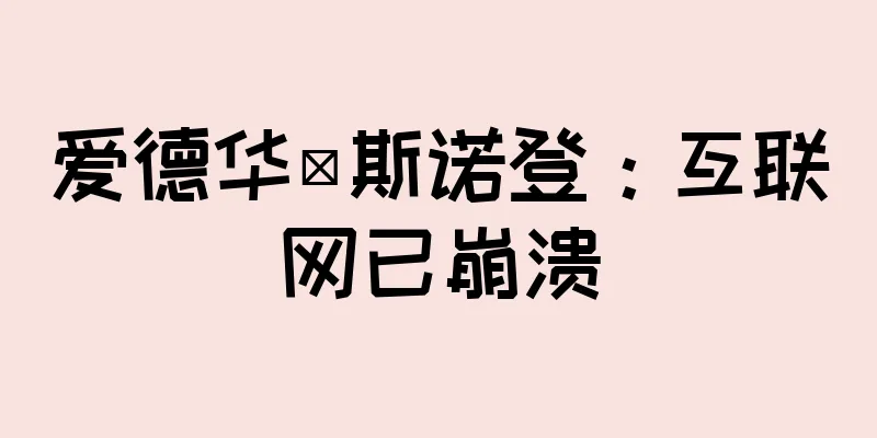 爱德华·斯诺登：互联网已崩溃