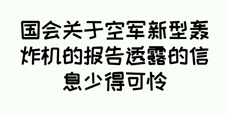 国会关于空军新型轰炸机的报告透露的信息少得可怜