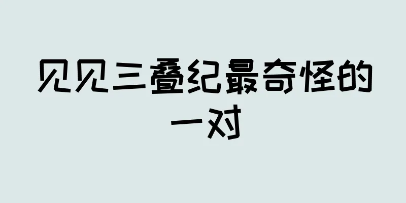 见见三叠纪最奇怪的一对