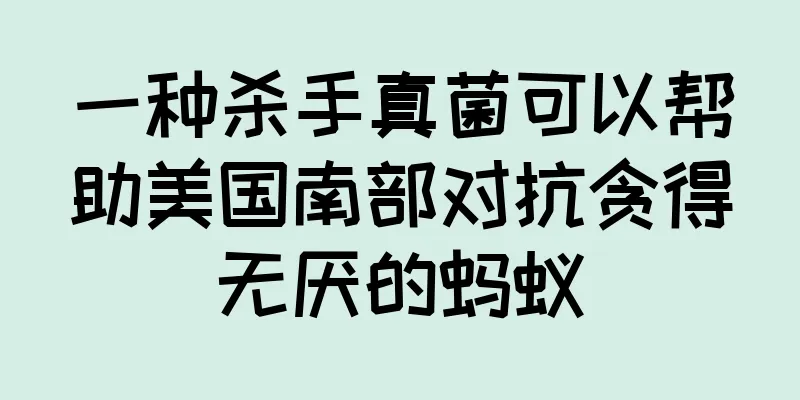 一种杀手真菌可以帮助美国南部对抗贪得无厌的蚂蚁