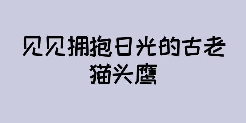 见见拥抱日光的古老猫头鹰