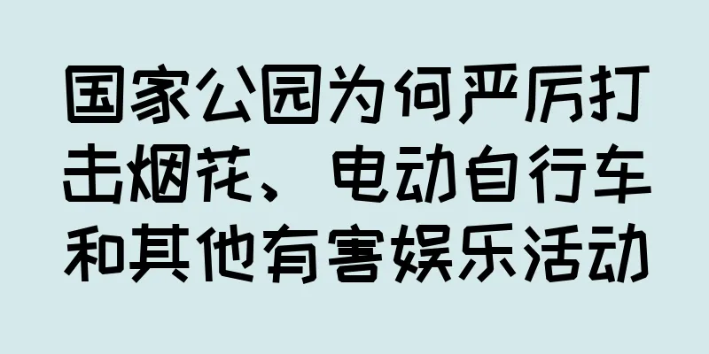 国家公园为何严厉打击烟花、电动自行车和其他有害娱乐活动
