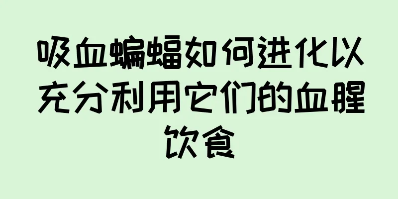 吸血蝙蝠如何进化以充分利用它们的血腥饮食