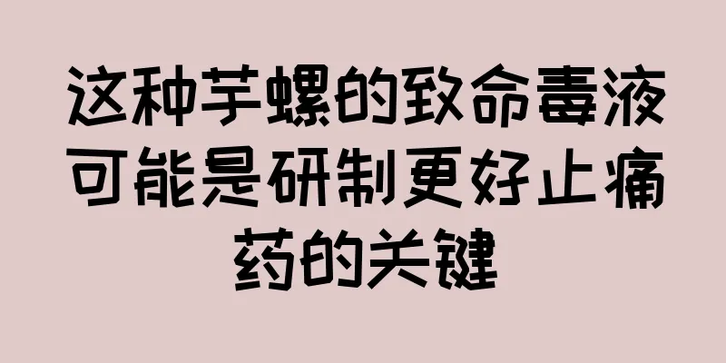 这种芋螺的致命毒液可能是研制更好止痛药的关键