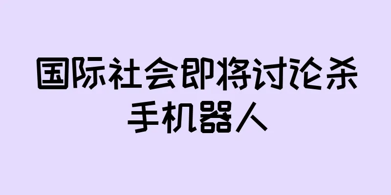 国际社会即将讨论杀手机器人