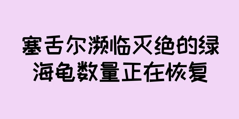 塞舌尔濒临灭绝的绿海龟数量正在恢复