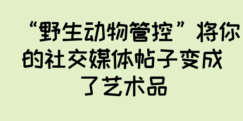 “野生动物管控”将你的社交媒体帖子变成了艺术品
