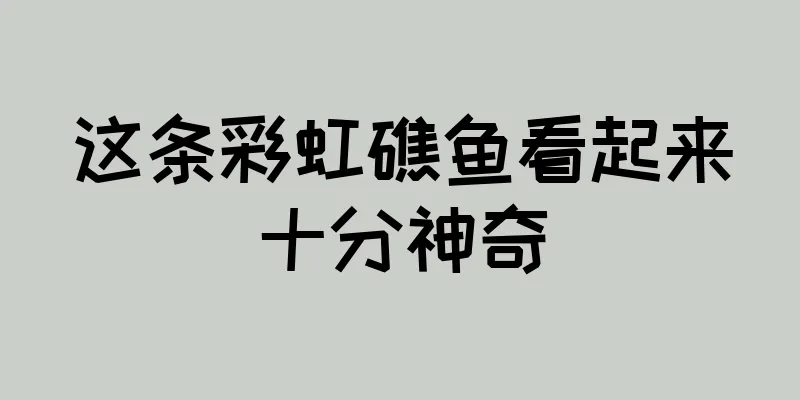这条彩虹礁鱼看起来十分神奇