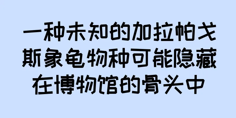 一种未知的加拉帕戈斯象龟物种可能隐藏在博物馆的骨头中