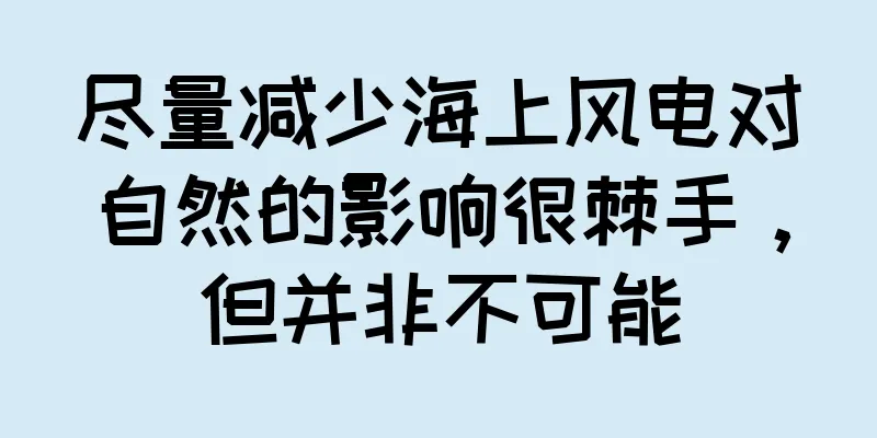 尽量减少海上风电对自然的影响很棘手，但并非不可能