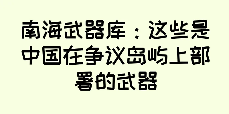 南海武器库：这些是中国在争议岛屿上部署的武器
