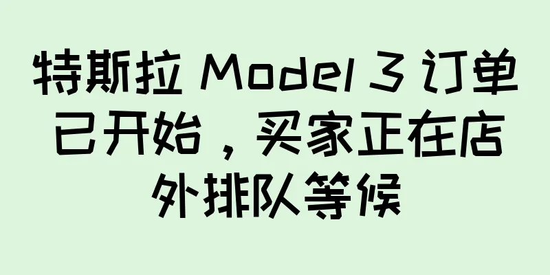 特斯拉 Model 3 订单已开始，买家正在店外排队等候