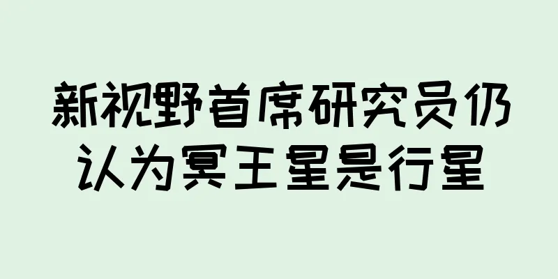 新视野首席研究员仍认为冥王星是行星