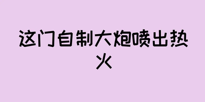 这门自制大炮喷出热火