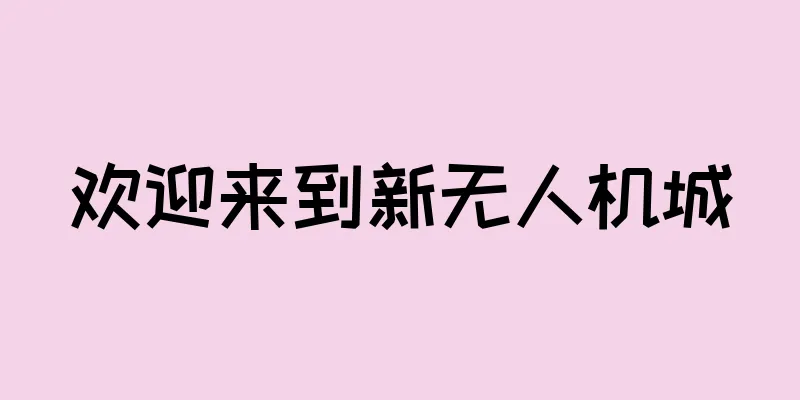 欢迎来到新无人机城