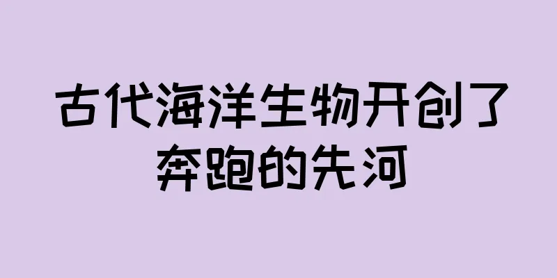 古代海洋生物开创了奔跑的先河