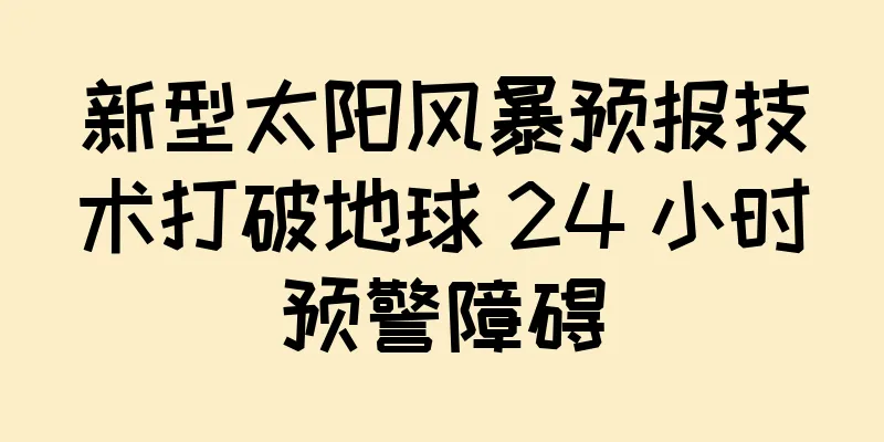 新型太阳风暴预报技术打破地球 24 小时预警障碍