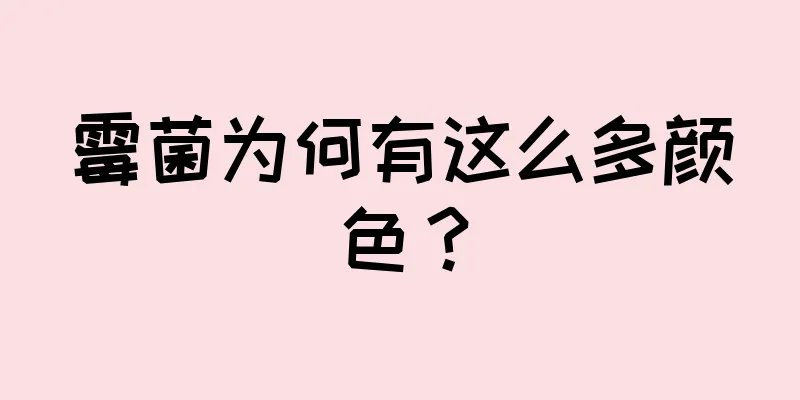 霉菌为何有这么多颜色？