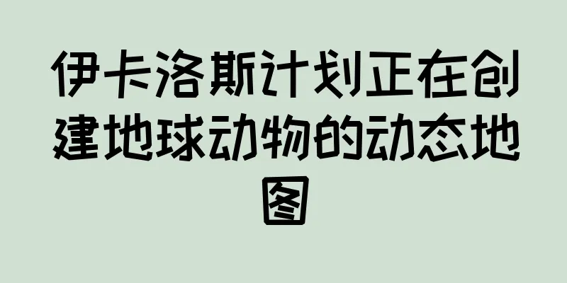 伊卡洛斯计划正在创建地球动物的动态地图