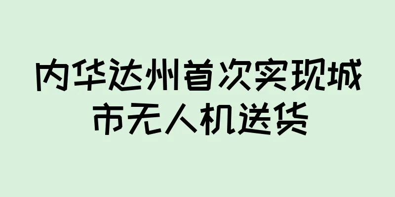 内华达州首次实现城市无人机送货