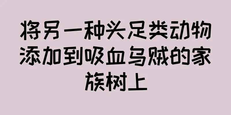 将另一种头足类动物添加到吸血乌贼的家族树上