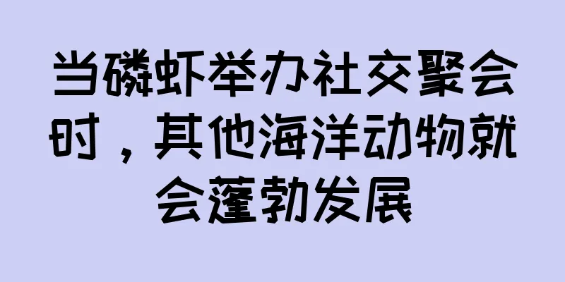 当磷虾举办社交聚会时，其他海洋动物就会蓬勃发展