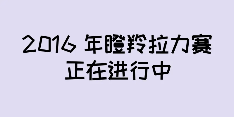 2016 年瞪羚拉力赛正在进行中