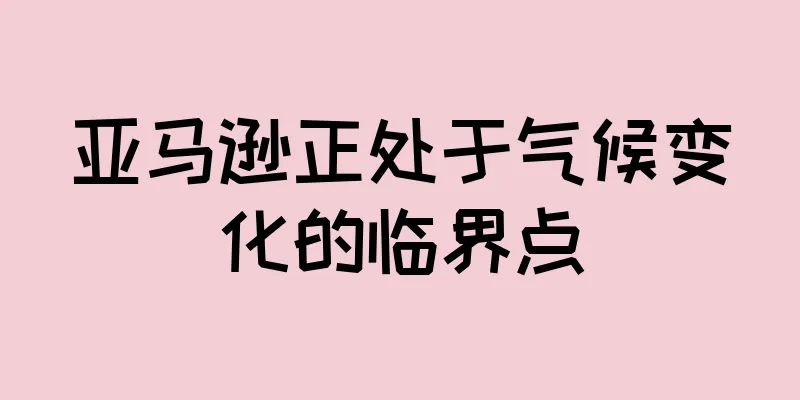 亚马逊正处于气候变化的临界点