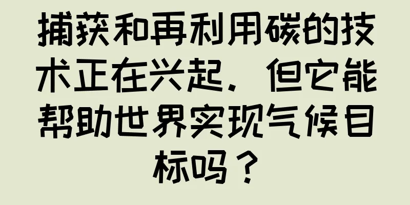 捕获和再利用碳的技术正在兴起。但它能帮助世界实现气候目标吗？
