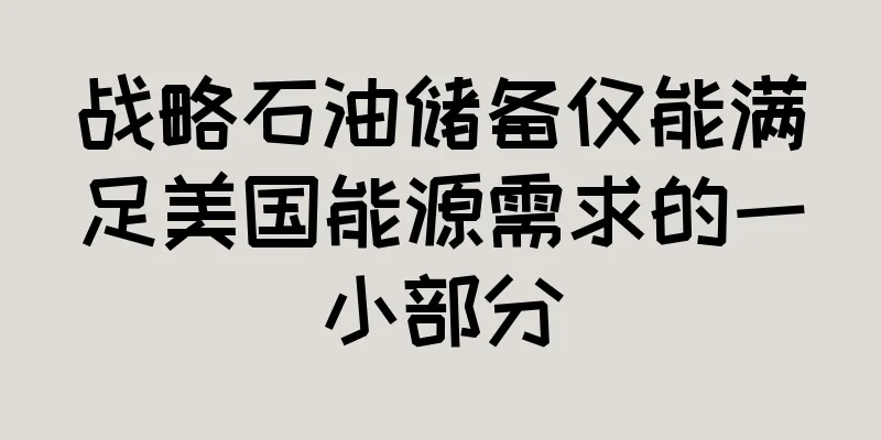 战略石油储备仅能满足美国能源需求的一小部分