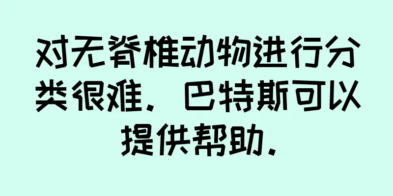 对无脊椎动物进行分类很难。巴特斯可以提供帮助。