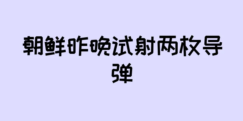 朝鲜昨晚试射两枚导弹