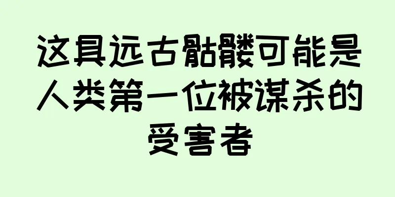 这具远古骷髅可能是人类第一位被谋杀的受害者