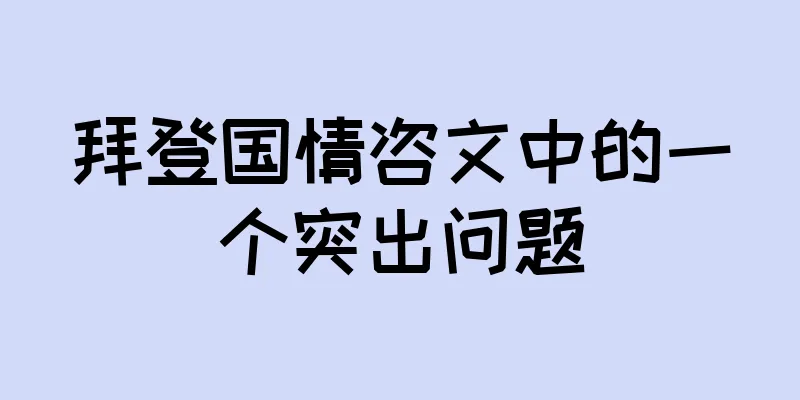 拜登国情咨文中的一个突出问题