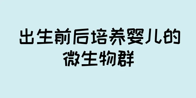 出生前后培养婴儿的微生物群