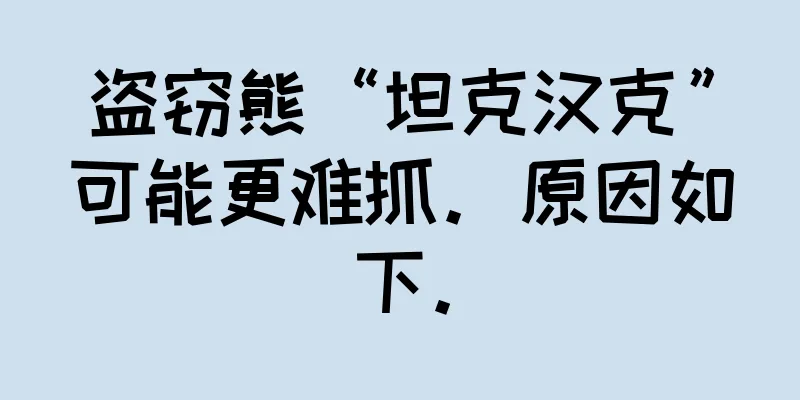 盗窃熊“坦克汉克”可能更难抓。原因如下。
