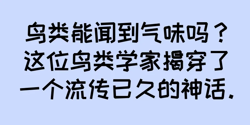 鸟类能闻到气味吗？这位鸟类学家揭穿了一个流传已久的神话。