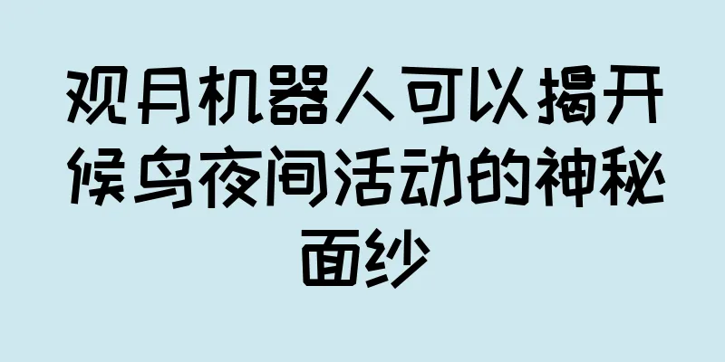 观月机器人可以揭开候鸟夜间活动的神秘面纱