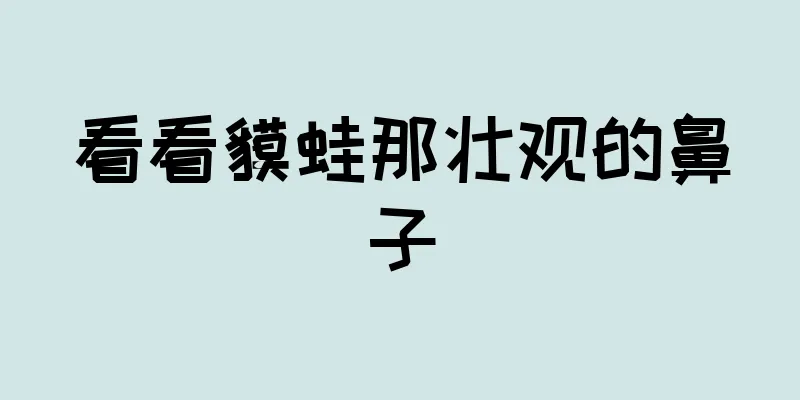 看看貘蛙那壮观的鼻子