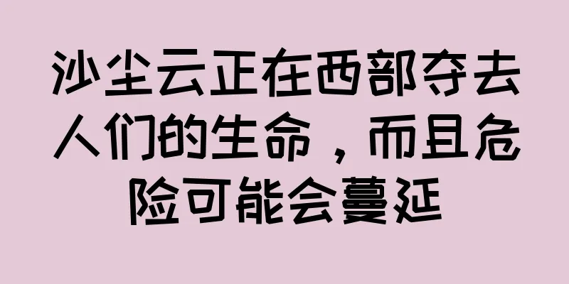 沙尘云正在西部夺去人们的生命，而且危险可能会蔓延
