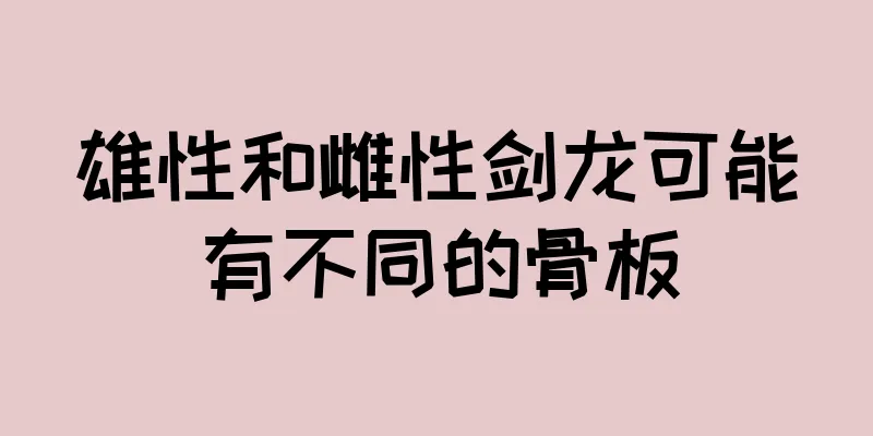 雄性和雌性剑龙可能有不同的骨板
