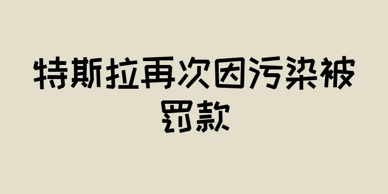 特斯拉再次因污染被罚款