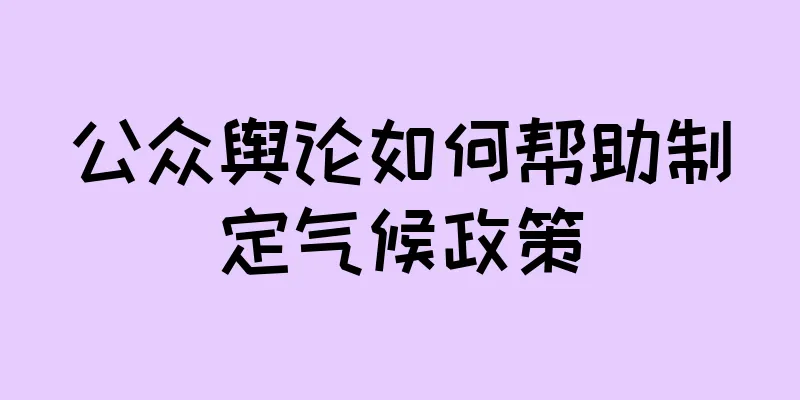 公众舆论如何帮助制定气候政策