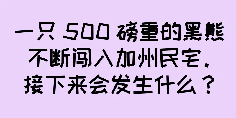 一只 500 磅重的黑熊不断闯入加州民宅。接下来会发生什么？