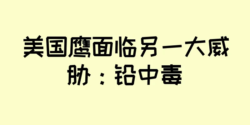 美国鹰面临另一大威胁：铅中毒