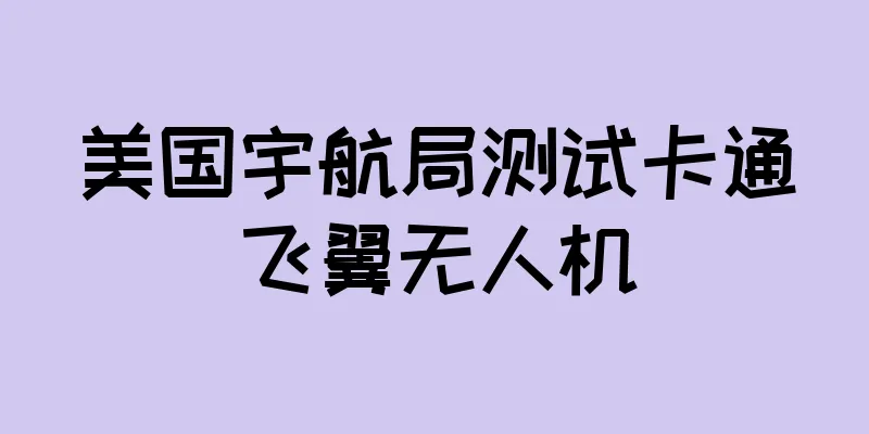 美国宇航局测试卡通飞翼无人机