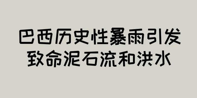 巴西历史性暴雨引发致命泥石流和洪水