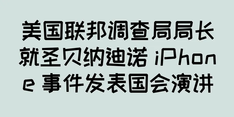 美国联邦调查局局长就圣贝纳迪诺 iPhone 事件发表国会演讲